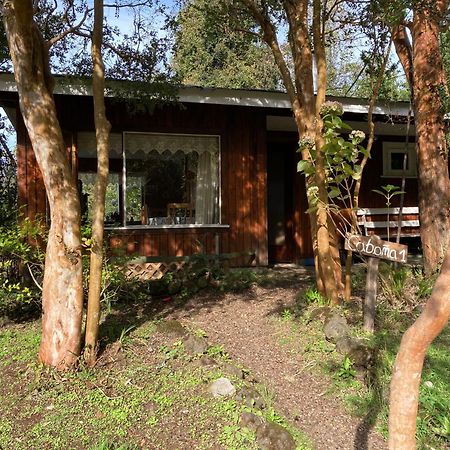 Cabanas El Bosque Patagonico Frutillar Extérieur photo