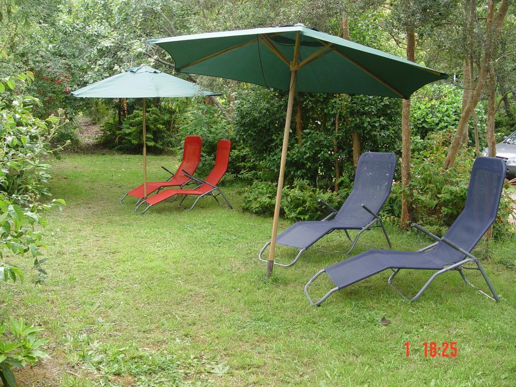 Cabanas El Bosque Patagonico Frutillar Chambre photo