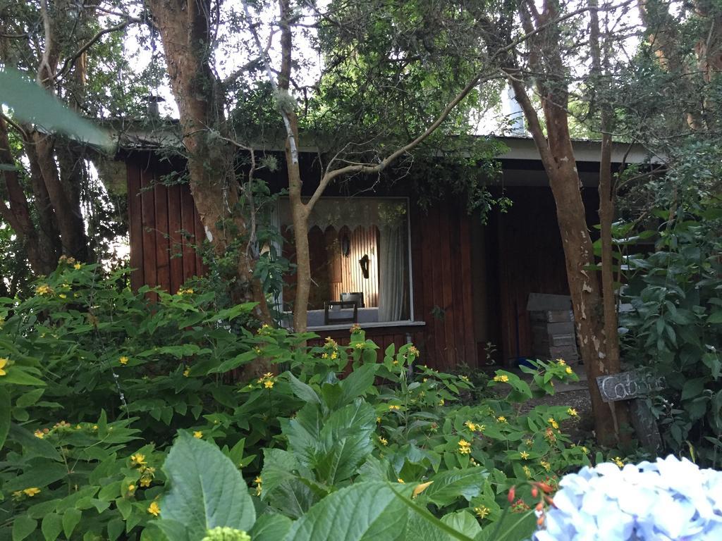 Cabanas El Bosque Patagonico Frutillar Extérieur photo
