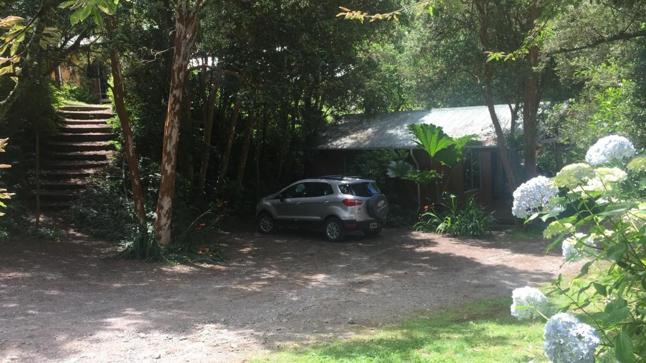 Cabanas El Bosque Patagonico Frutillar Extérieur photo
