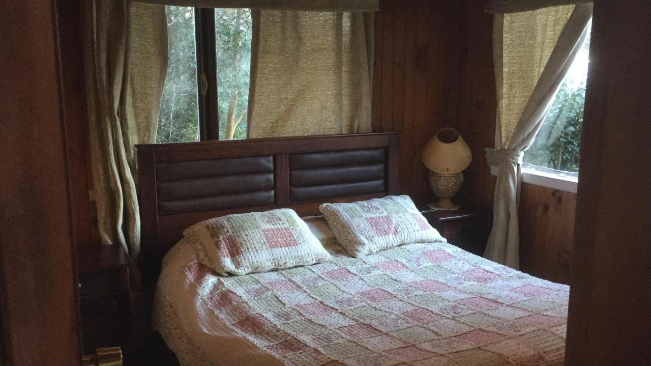 Cabanas El Bosque Patagonico Frutillar Extérieur photo